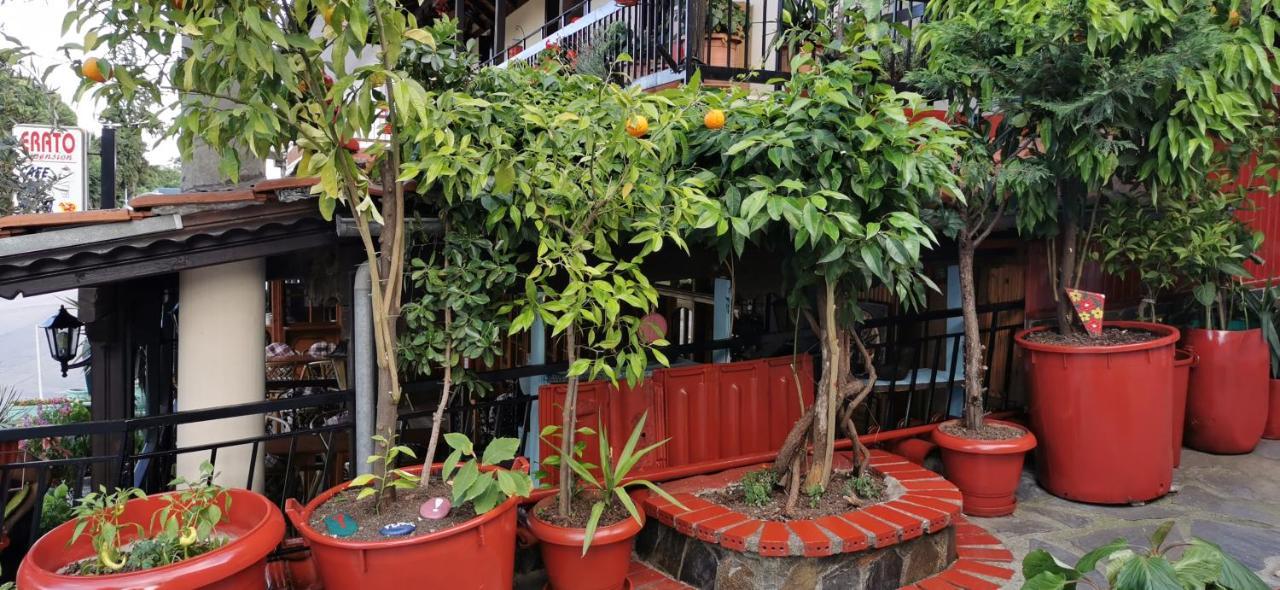 Apartments Erato Neos Panteleimonas Ngoại thất bức ảnh
